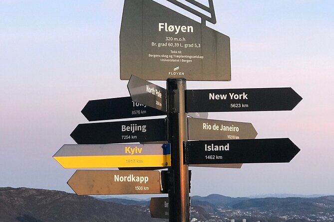 Private Walking Tour- Bergen Classics - Scenic Viewpoints