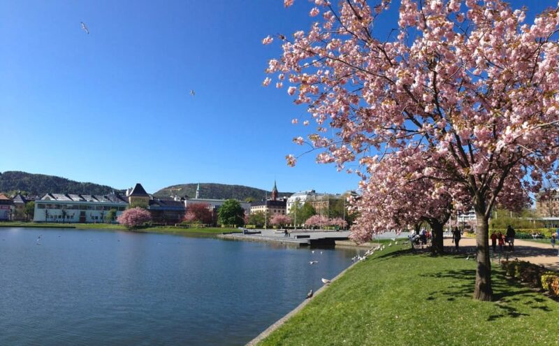 Private Walking Tour- Bergen Classics - Tour Experience