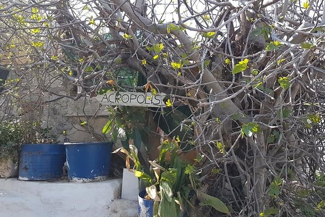 Private Walking Tour- Enjoy a Sunset Tour in Plaka - Accessibility and Accommodations