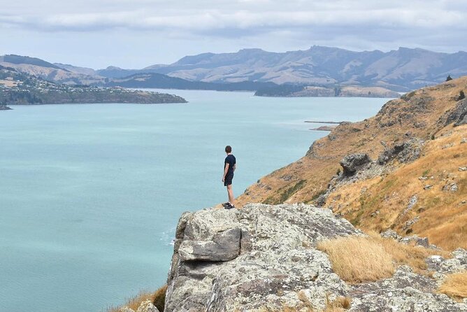 Private Walking Tour From Christchurch - Lyttelton & Godley Head - Meeting and Pickup