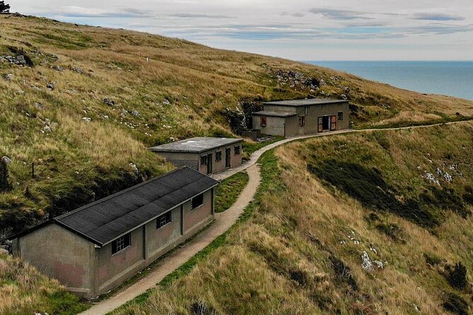 Private Walking Tour From Christchurch - Lyttelton & Godley Head - Accessibility