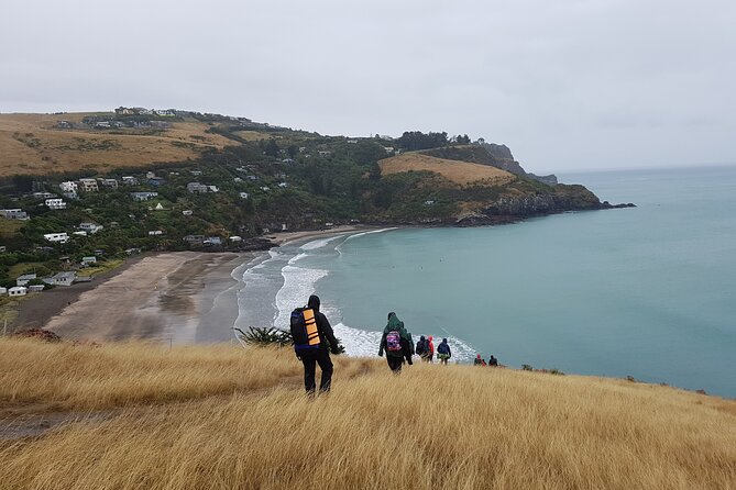 Private Walking Tour From Christchurch - Lyttelton & Godley Head - Taste of Local Cuisine