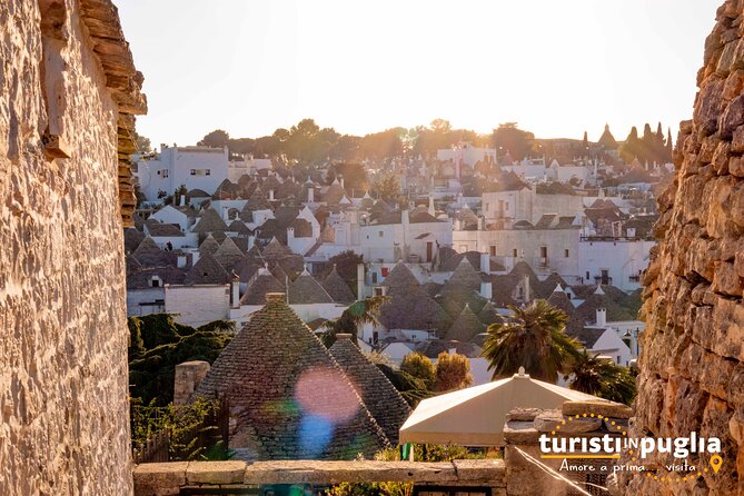 Private Walking Tour in Alberobello - Insights on Apulian Architecture