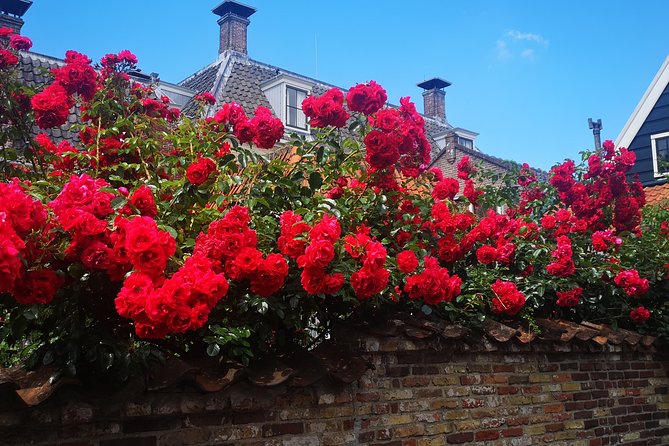Private Walking Tour in Amsterdam - Highlights of the Tour