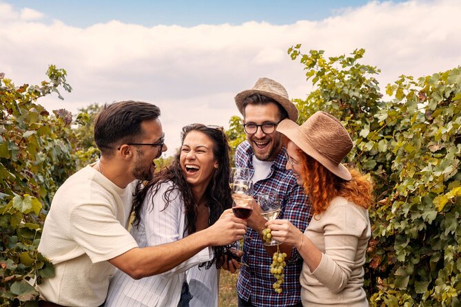 Private Walking Tour in Baden Neuweirs Vineyard - Questions About Staying Here