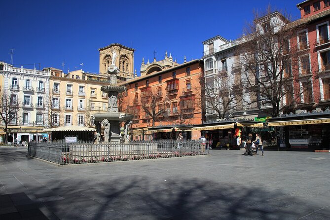 Private Walking Tour in Granada - Participation Requirements