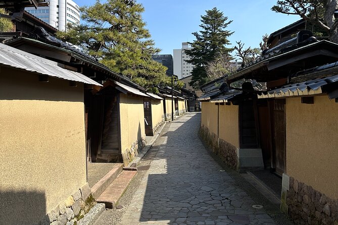 Private Walking Tour in Kanazawa With Local Guides - Tour Route and Flexibility