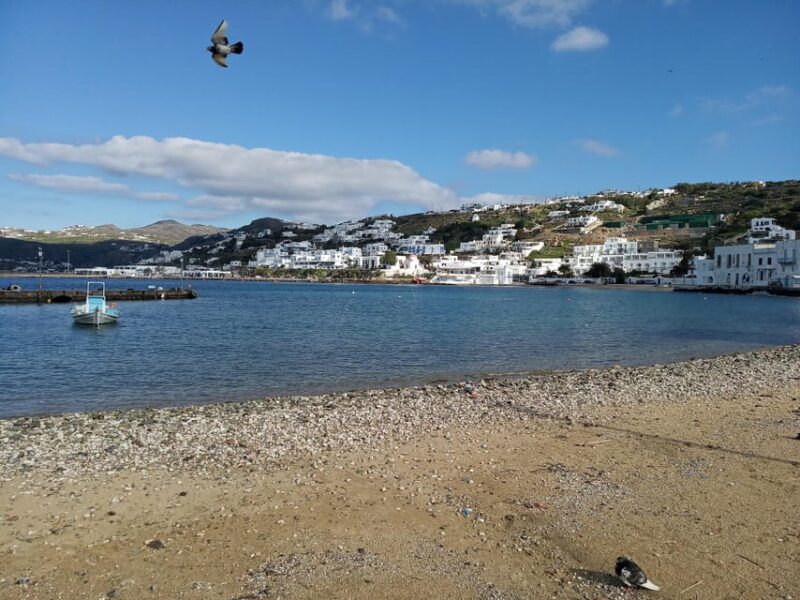 Private Walking Tour in Mykonos Town With a Local Guy - Itinerary Highlights