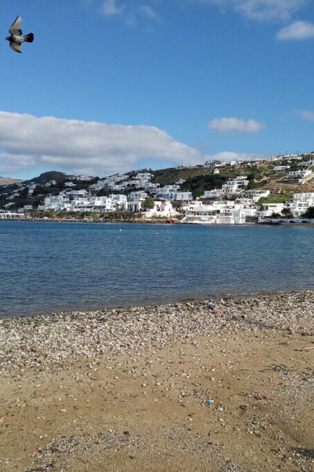 Private Walking Tour in Mykonos Town With a Local Guy - Local Beer Tasting