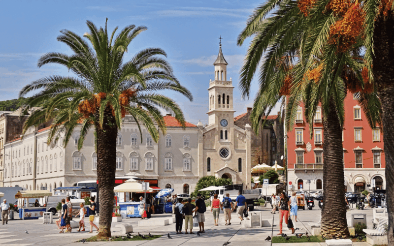 Private Walking Tour in Old Center Split With Licenced Guide - Participant Selection