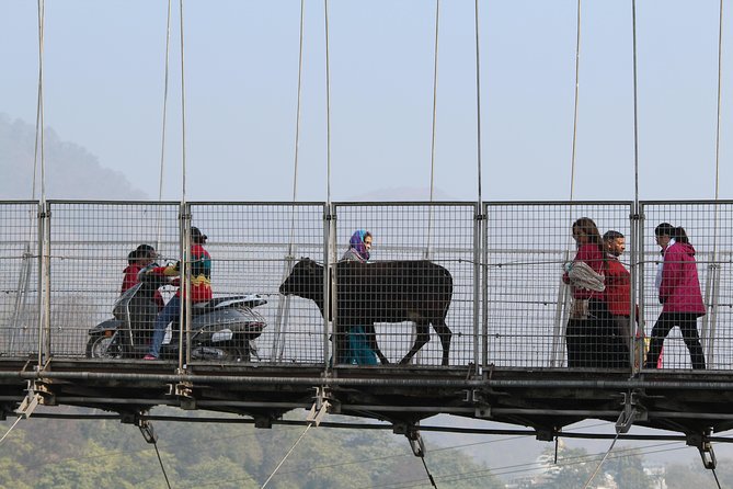 Private Walking Tour in Rishikesh - Tour Stops and Activities