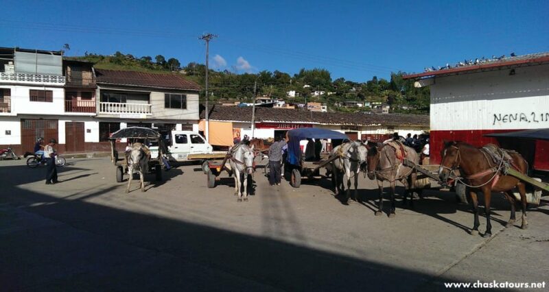 Private Walking Tour in San Agustín - Duration and Pricing