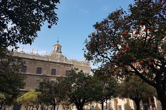 Private Walking Tour in Seville City Center - Inclusions and Meeting Point