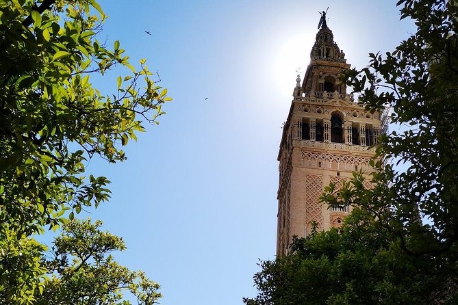 Private Walking Tour in Seville City Center - Seville Cathedral