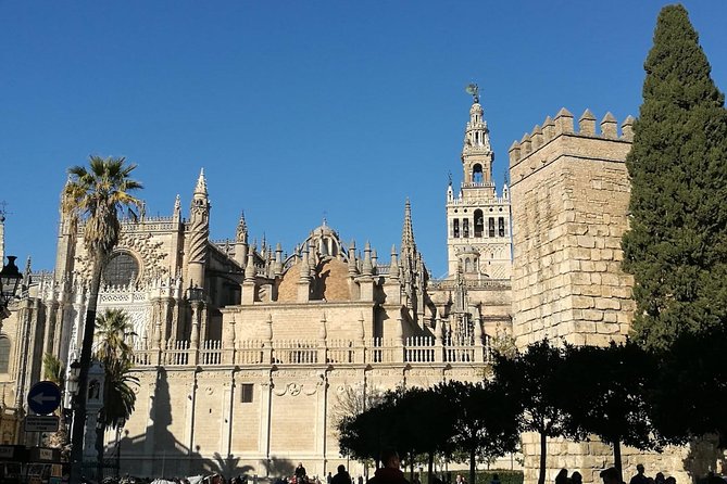 Private Walking Tour in Seville City Center - Jewish Quarter
