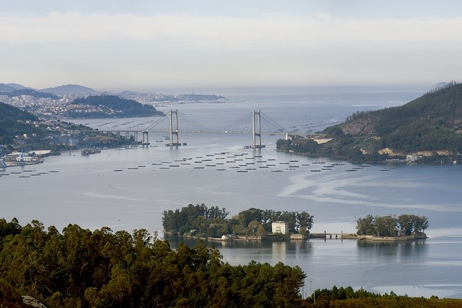 Private Walking Tour in Vigo - Meeting and End Point