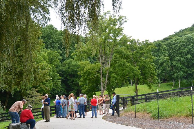 Private Walking Tour of a Real Working Cattle Ranch - Accessibility and Participation