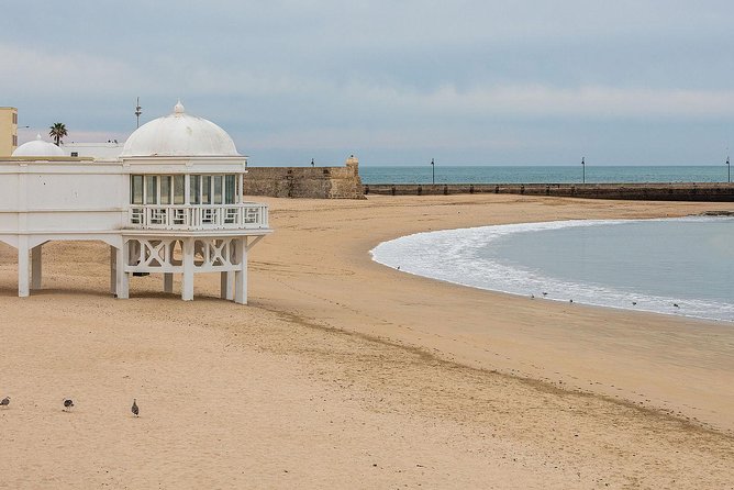Private Walking Tour of Cadiz: Includes Tavira Tower - Hotel Pickup and Landmark Exploration