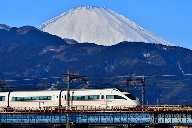 Private Walking Tour of Hakone. Price per Group - Inclusions and Exclusions