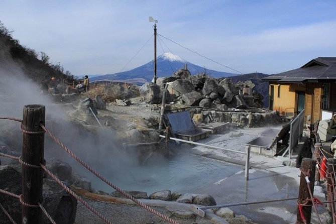 Private Walking Tour of Hakone. Price per Group - Reviews and Feedback