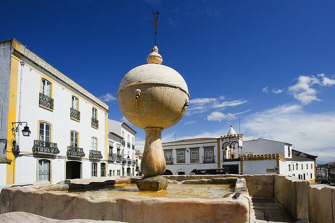 Private Walking Tour of Highlights Locations in Evora - Commerce Street Exploration