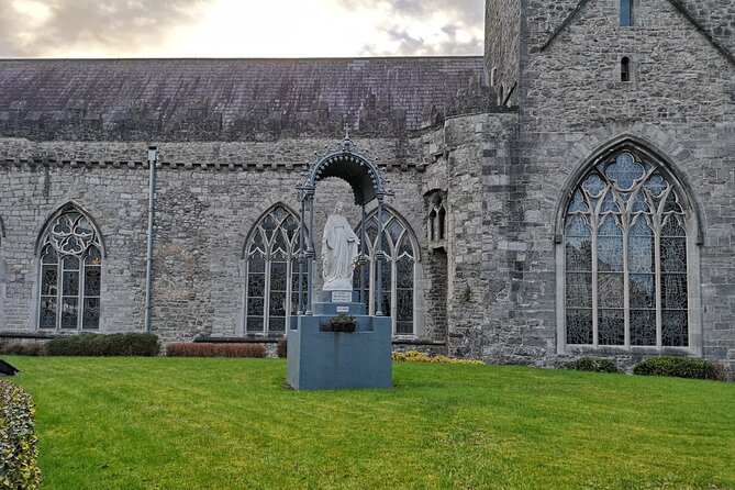 Private Walking Tour of Kilkenny. English, French or German - Tour Experience Features