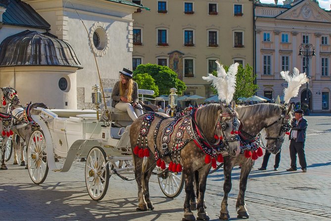 Private Walking Tour of Krakow Old Town With Local Historian Phd - Krakows Historic Center