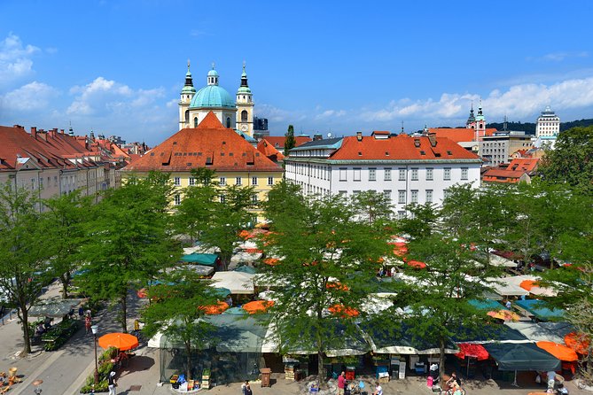 Private Walking Tour of Ljubljana Old Town - Customer Feedback and Ratings