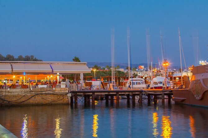 Private Walking Tour of Paphos - Accessibility and Physical Requirements