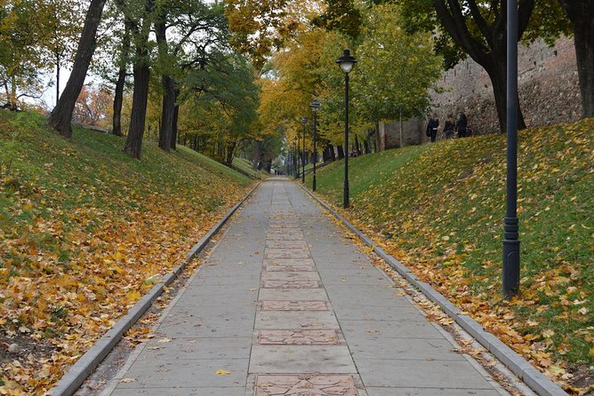 Private Walking Tour of Sibiu - Positive Experiences