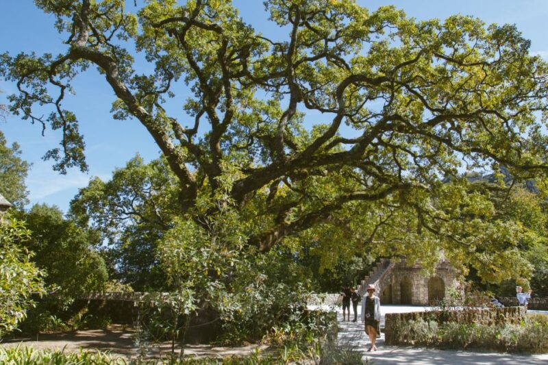 Private Walking Tour of Sintra Village + Quinta Da Regaleira - Participant Information and Accessibility