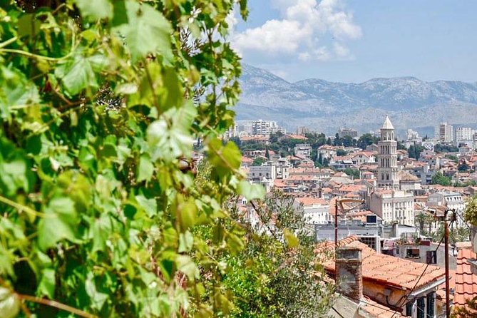 Private Walking Tour of Split With a Local - Accessibility and Requirements