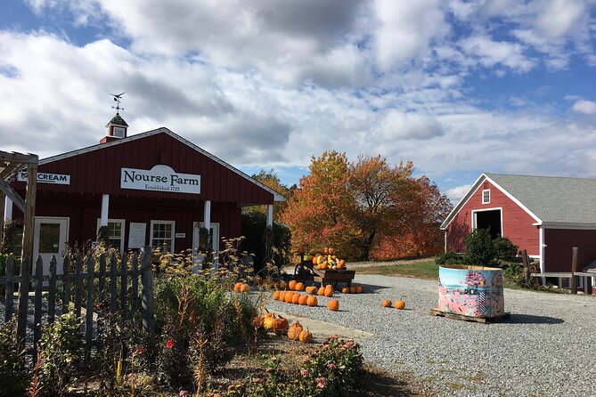 Private Walking Tour of the 100th Town in Westborough - What to Expect During the Tour