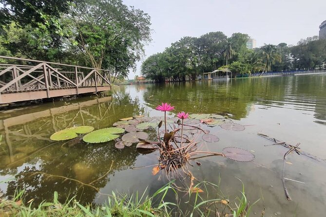 Private Walking Tour of the Shah Alam Lake Gardens With Pick up and Lunch - Good To Know