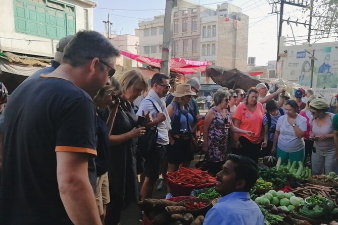 Private Walking Tour of Udaipur With a Professional Guide - Exploring the City Palace and Jagdish Temple