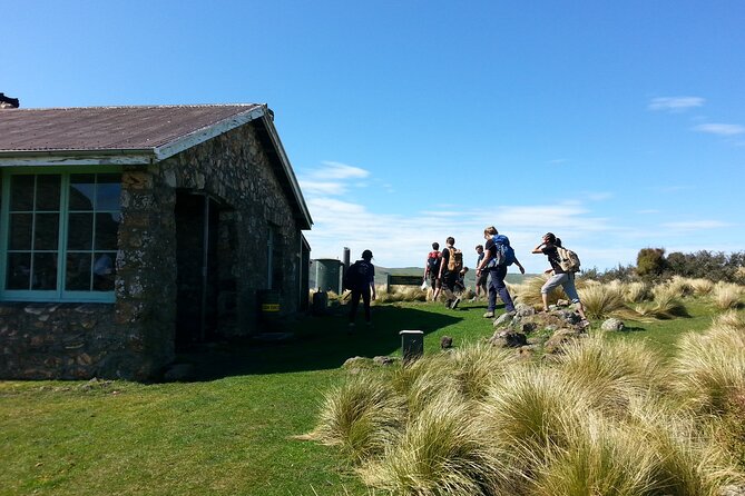 Private Walking Tour - Packhorse Hut From Christchurch - Pricing and Cancellation