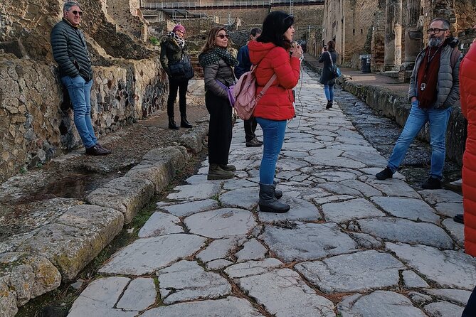 Private Walking Tour Through the Historical City of Herculaneum - Meeting Point and Accessibility