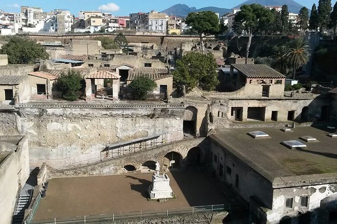 Private Walking Tour Through the Historical City of Herculaneum - Exploring Herculaneums Highlights