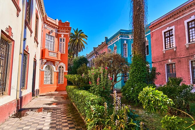 Private Walking Tour to Barrio Yungay Santiago - Key Points