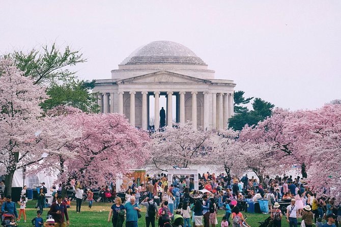 Private Washington DC City Tour - Transportation and Accessibility
