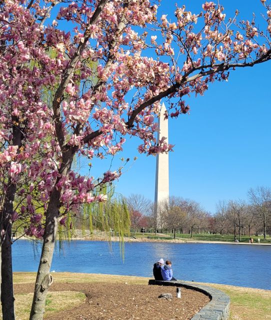 Private Washington DC Grand Tour - Tour Features