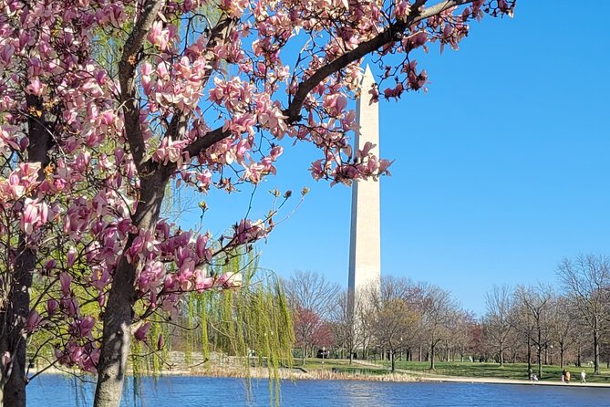 Private Washington DC Tour With Changing of the Guard Ceremony - Traveler Feedback and Reviews