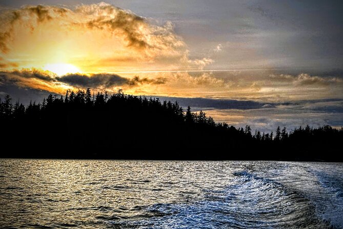 Private Water Taxi and Land Tour, Sea It All -Sitka Wildlife - Accessibility and Recommendations