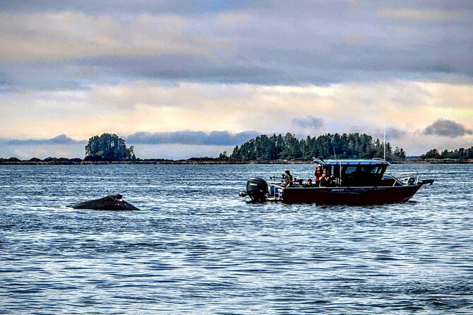 Private Water Taxi and Land Tour, Sea It All -Sitka Wildlife - Booking Information