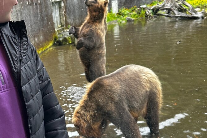 Private Water Taxi and Land Tour, Sea It All -Sitka Wildlife - Private Transportation