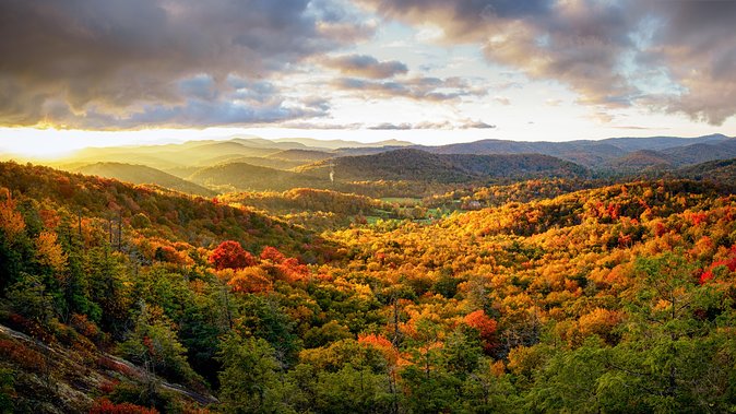 Private Waterfall and Blue Ridge Parkway Tour With a Naturalist - Local Guide Expertise
