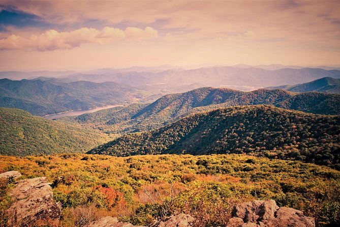 Private Waterfall and Blue Ridge Parkway Tour With a Naturalist - Tour Highlights