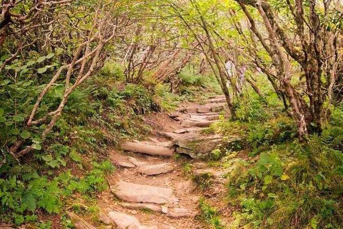 Private Waterfall and Blue Ridge Parkway Tour With a Naturalist - Itinerary Options