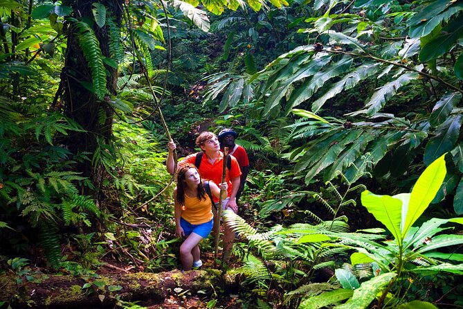 Private Waterfall, Rainforest, Chocolate Tour, A Historical Site - Tour Duration and Meeting Point