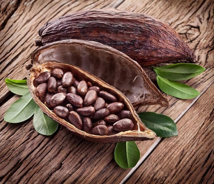 Private Waterfall, Rainforest & Handcrafted Chocolate Tour - Private Group Options